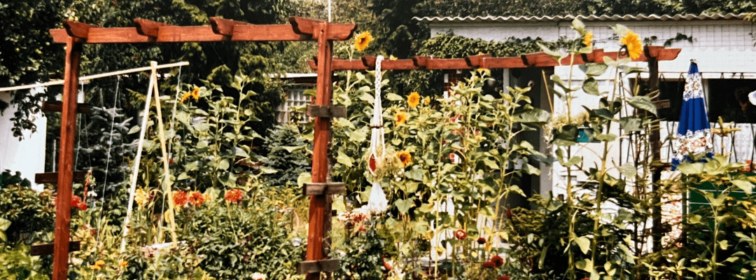 Unser Schrebergarten