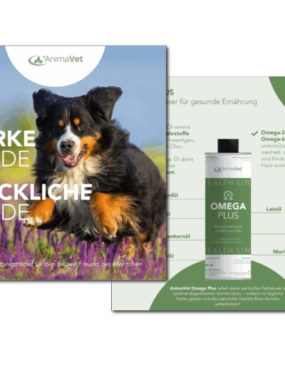 AnimaVet – Flyer Design